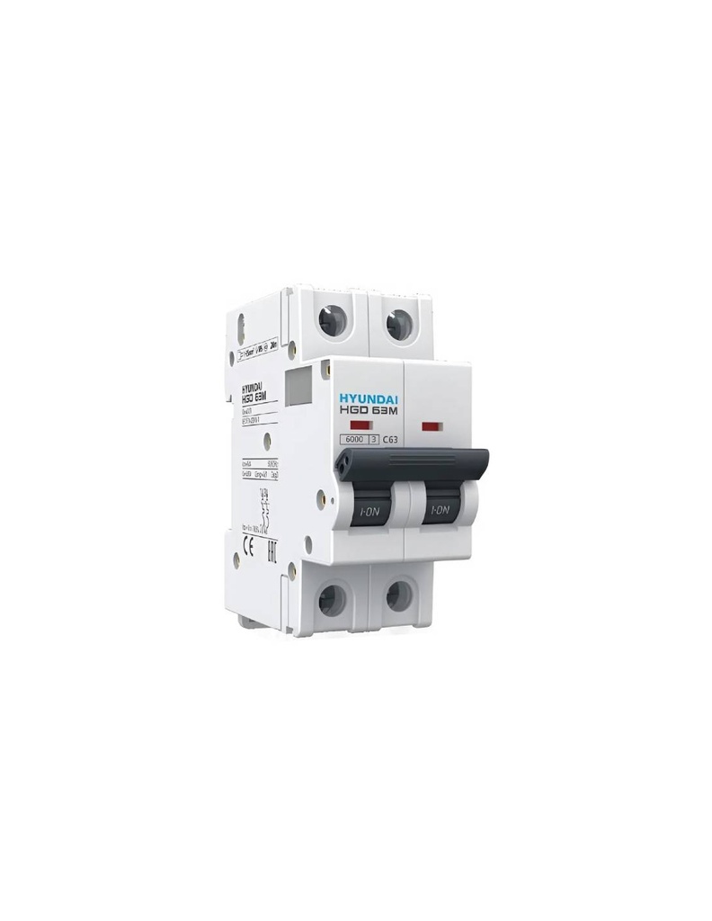 BREAKER 2POL 63AMP HYUNDAI 