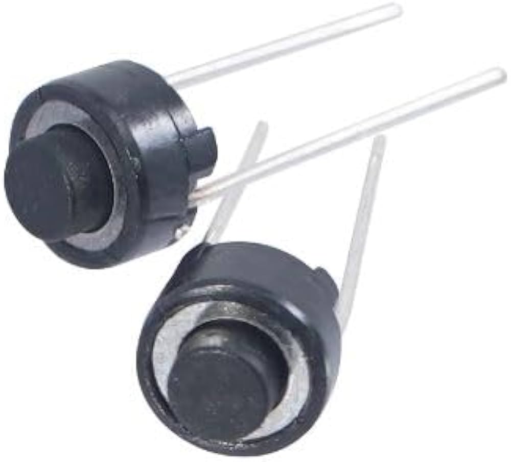 M/B DSG117 6X6X4.32 2PIN BLACK