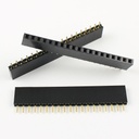 PIN HEADER FEMALE SINGLE SIDE 40PIN 2.54MM