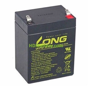LONG BATTERY 12V 2.9AH