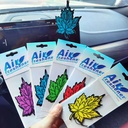 CAR AIR FRESHNER PAPER TWO KINDS
