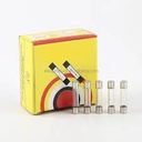 0.2A GLASS FUSE 30MM
