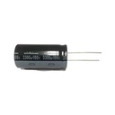 3300UF 100V PC