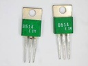 B514 (22)