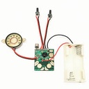 SOUND RECORDING KIT WITH IC