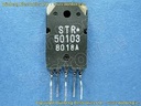 STR50103 (41)