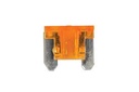 5A MINI CAR FUSE 