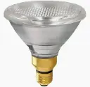 GARDEN LIGHT 80W 220V BLUE PAR38