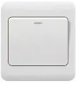 ON OFF SWITCH 1GANG DECOR 7X7 PLATINUM 